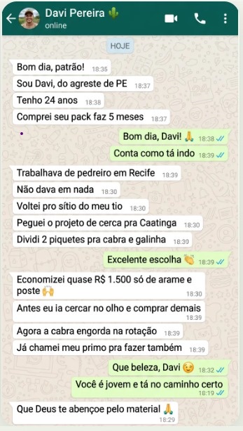 Conversa no WhatsApp com Davi Pereira, cliente