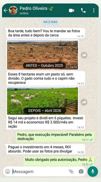 Conversa no WhatsApp com Pedro Oliveira, cliente